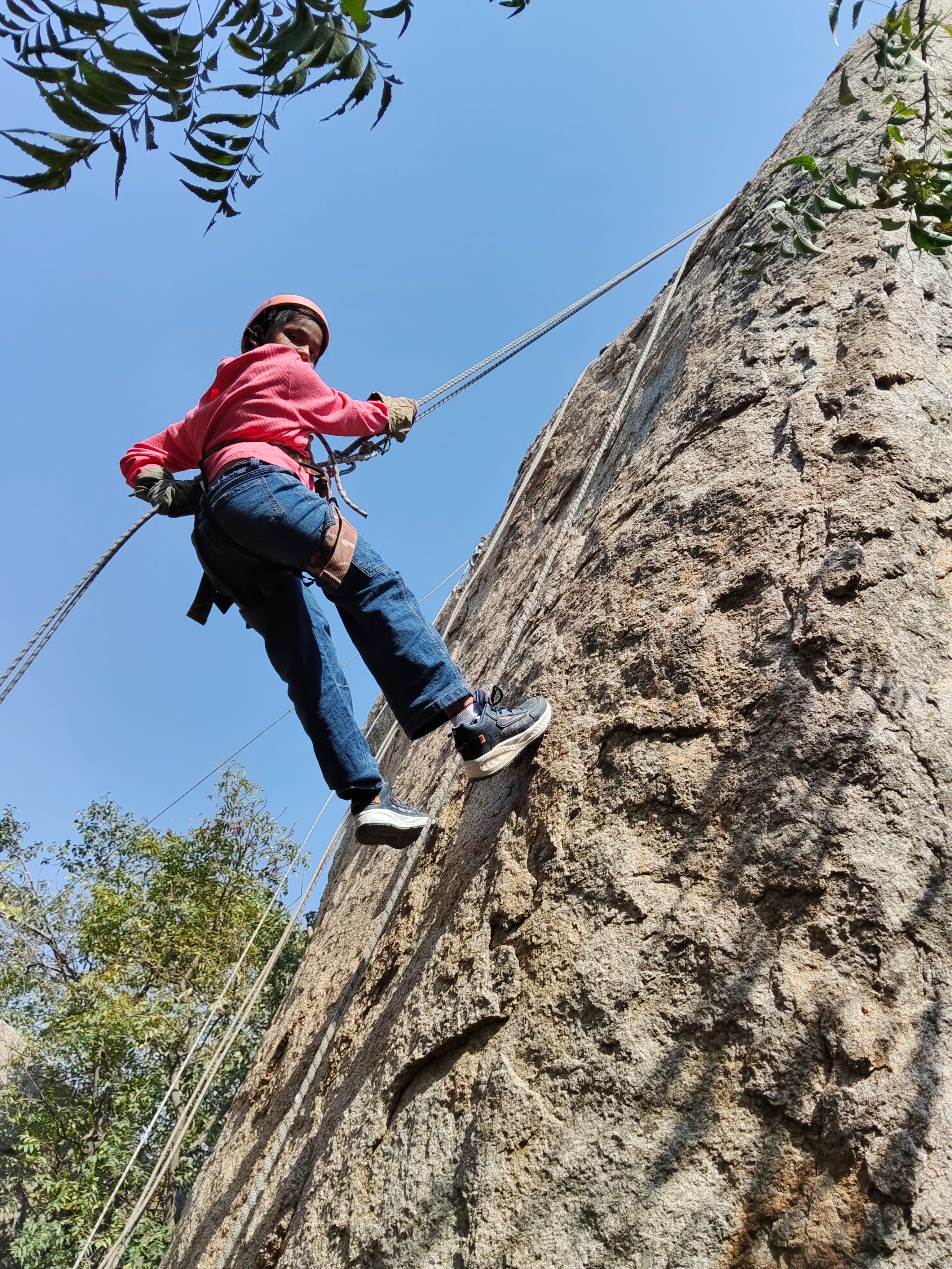 Student field trip and excursions